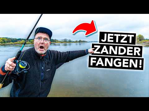 Zanderangeln im November 🎣 So fängst du im Herbst garantiert!
