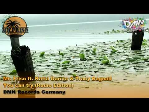 Mr. Friso ft. Katia Garcia & Tracy Bagnall - You can try [radio edit.]