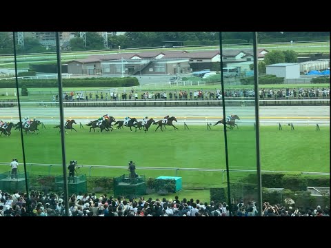 東京競馬 2023.05.21 オークス～05.28 ダービー