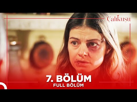 Çalıkuşu 7. Bölüm