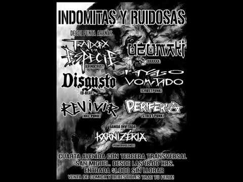 INDOMITAS Y RUIDOSAS 01/04/2017