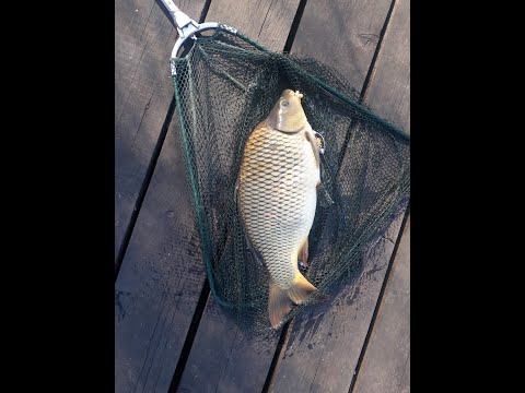 Pescuit pe Dyno Lake