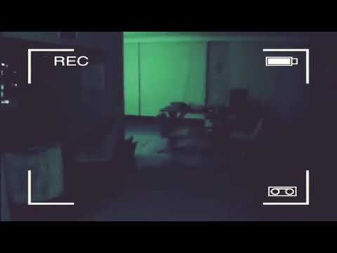 Cem Gelinoğlu Vine (Korkutma)