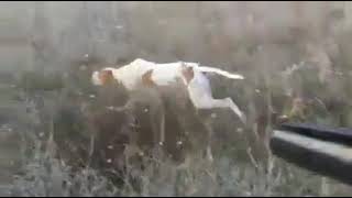 Pointer fuera de estilo