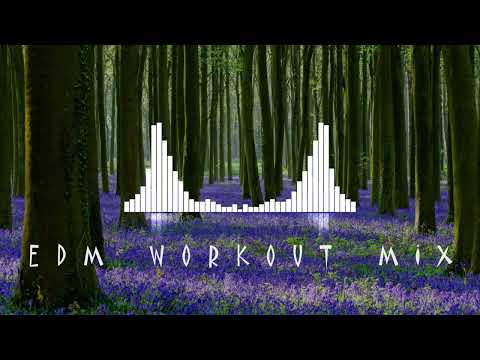 Nakata Music Nightlife Adventures: EDM Party Mix 561