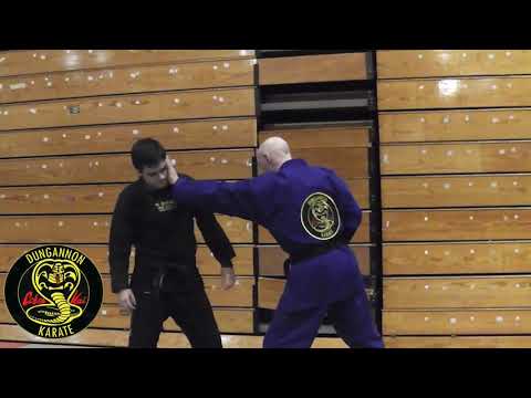 Pinan Shodan bunkai drill 4