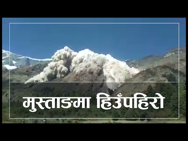 Over 120 Yak go missing in avalanche