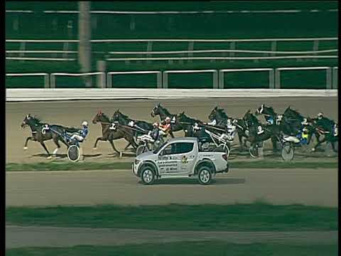 Trotto 11/11/2018 - 5ª corsa