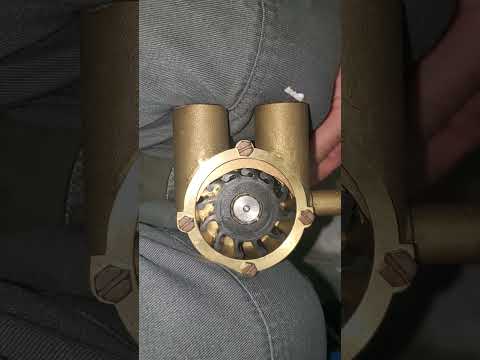Raw water pump marine