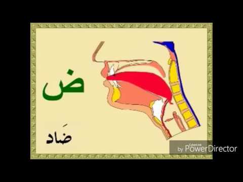 ISTITHALAH PADA BAHASA : MEMANJANG.