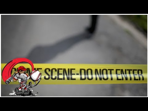 4 baboons at texas research center back after brief escape