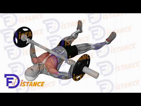 Exercice Développé couché au sol avec barre