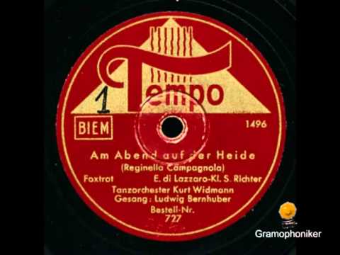 Bernhuber, Ludwig / Widmann, Kurt Orchester - Am Abend auf der Heide