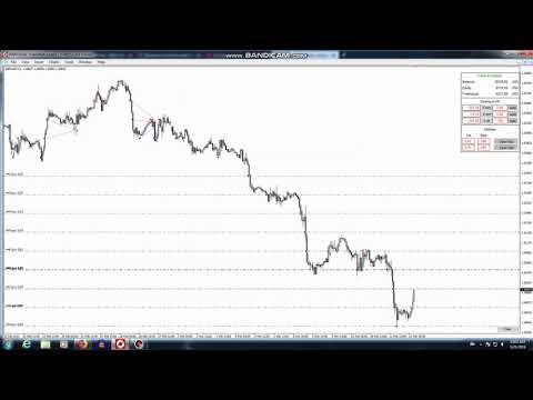 Video AvanteGarde Grid