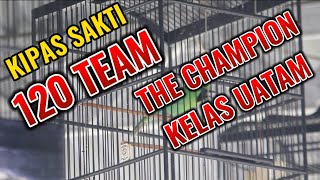 C.I KIPAS SAKTI MILIK 120 TEAM BERHASIL MENJADI THE CHAMPIONS DI KELAS UTAMA‼️