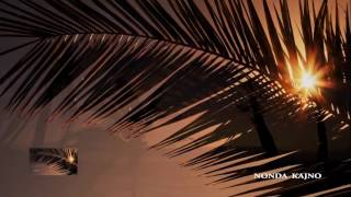 Nonda Kajno - Adio Alma