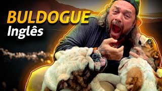 Miniatura do vídeo