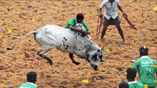 Kombu Vacha Singamda - Official Lyric Video | G V Prakash Kumar, Arunraja Kamaraj