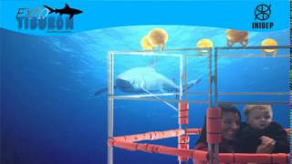 DIA 2 Expo Tiburon89