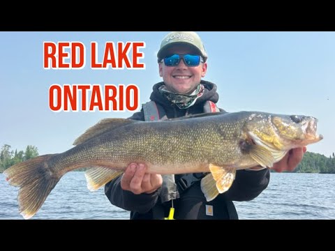 9 Days of Fishing in Red Lake Ontario!!! (Big Walleyes and Pike!) (Red Lake 2025) 