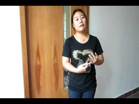 AIESEC RULE LCVP OGX Candidate