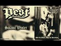 PEST - Satanic Winter