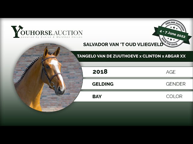 Salvador van 'T Oud Vliegveld