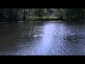 Calming Insight of Ourselves - Taken from our Beautiful DVD "Meditation Moods"