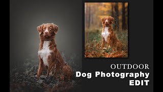 Dog Photography | Edit Pet Photography | Outdoor Dog Photoshop Edit