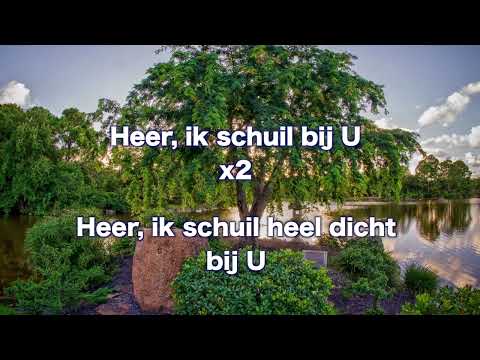 Opwekking 519 Ik vertrouw op U