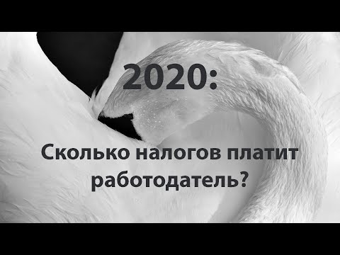 Сколько налогов платит работодатель в 2020 #БелыеНалоги2020