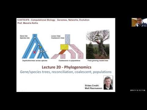 MIT CompBio Lecture 20 - Phylogenomics (Fall 2019)