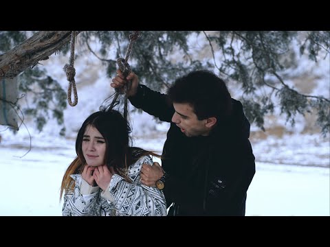 Shoh -  Пулпараст | 2025