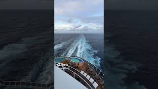 Cruise Shorts - Wake of Cruise Ship Carnival Vista at Sunrise in the Caribbean Sea