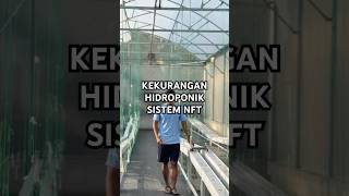 Download lagu Kekurangan hidroponik sistem nft #kebunmelon #berkebun #melonhidroponik #nftsystem #hidroponik mp3