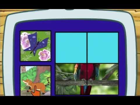 Go Diego go macaw let’s review