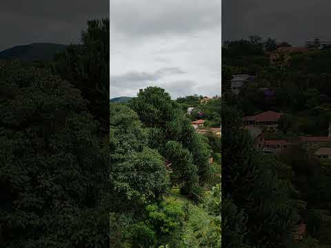 Cunha-SP