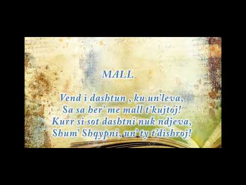 Hil Mosi "MALL" - realizoi Adrian Hoti