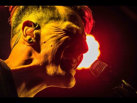 Ozark Henry - Where's the love (Radio 1 Sessie)