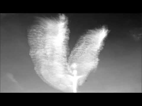 Der Nordländer - Engel wider Willen