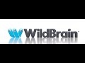 Wildbrain Logo 2021 Remake