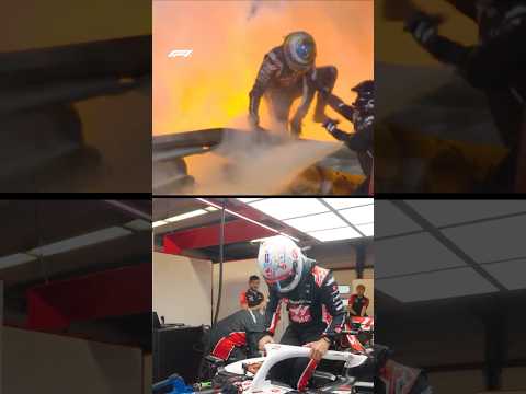 ‘The Phoenix’ Returns 🥹