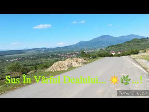 Sus 🔝 În Vârful Dealului, între Dorolea 🏡 și Valea Poienii...! ✌️👍🍀🌿...