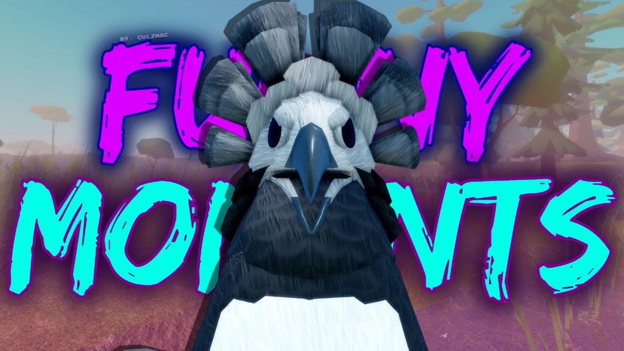 Funny Feather Family Moments 4