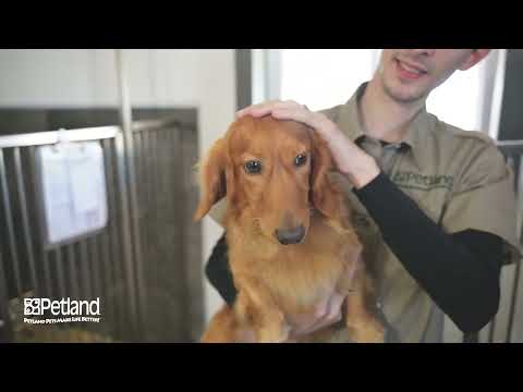 Kennel Tour 185
