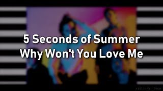 5 Seconds of Summer - Why Won&#39;t You Love Me (Lyrics)