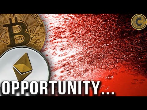 Legit bitcoin investicinės platformos