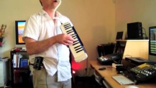Zk Dubz   Augustus Pablo   Skanking Easy cover & jamming