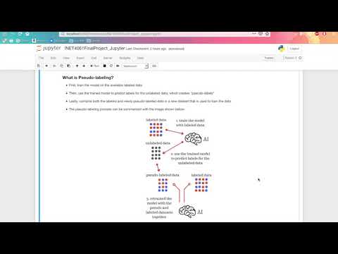 INET4061 Final Project: Semi-Supervised Learning