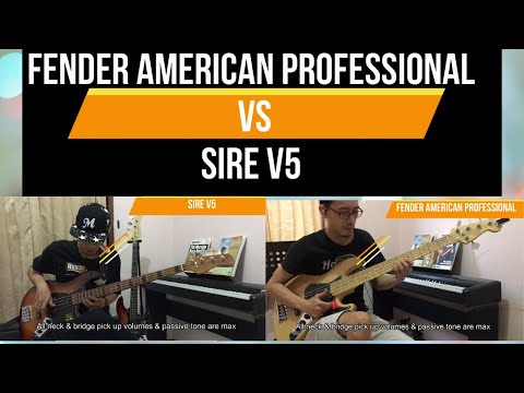 Fender American Professional Vs Sire V5 Fortune $1550 vs $500